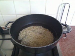 IMG_20110621_165152